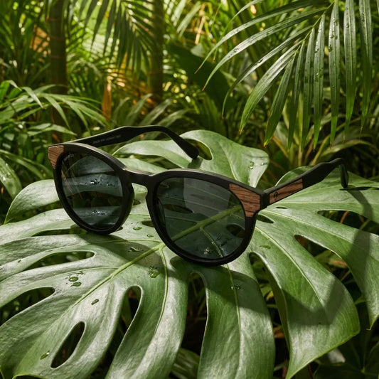 Lentes sol Chiloe 0084 polarizados bio-acetato negro composicion botanica monstera tropical biodegradable Bonoboss #editorial_grid2 #color_negro