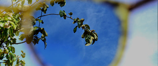 Anteojos de sol mostrando cómo se ve la naturaleza a través del polarizado