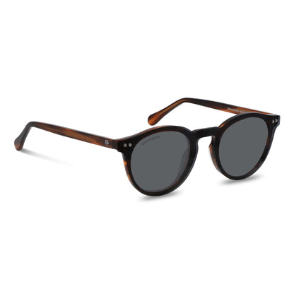 Fran Clip Sol en carey tortoise lentes ópticos y de sol magnéticos de frente diseño intercambiable #color_carey