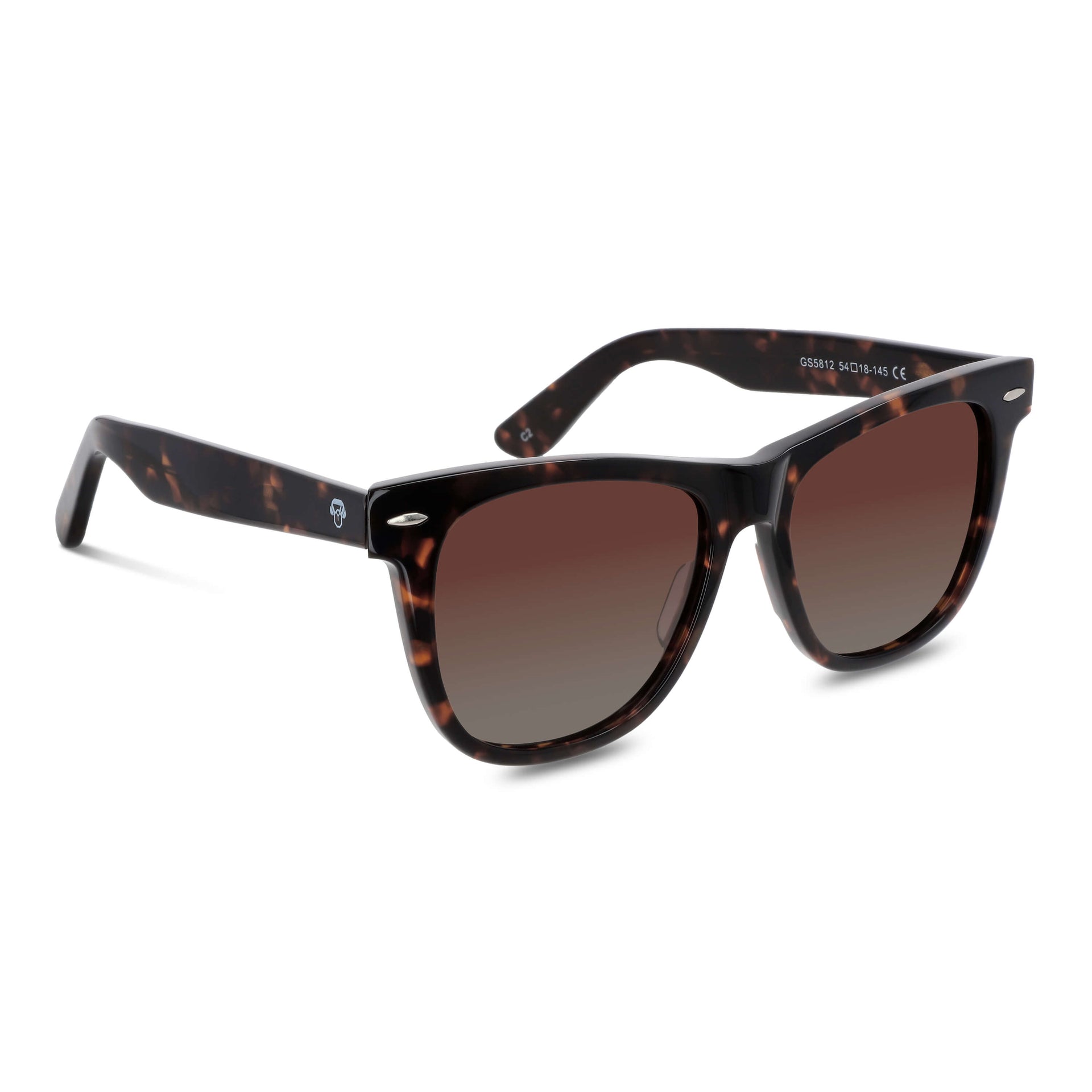Packshot frontal Valencia lentes polarizados hombre acabado carey #color_carey