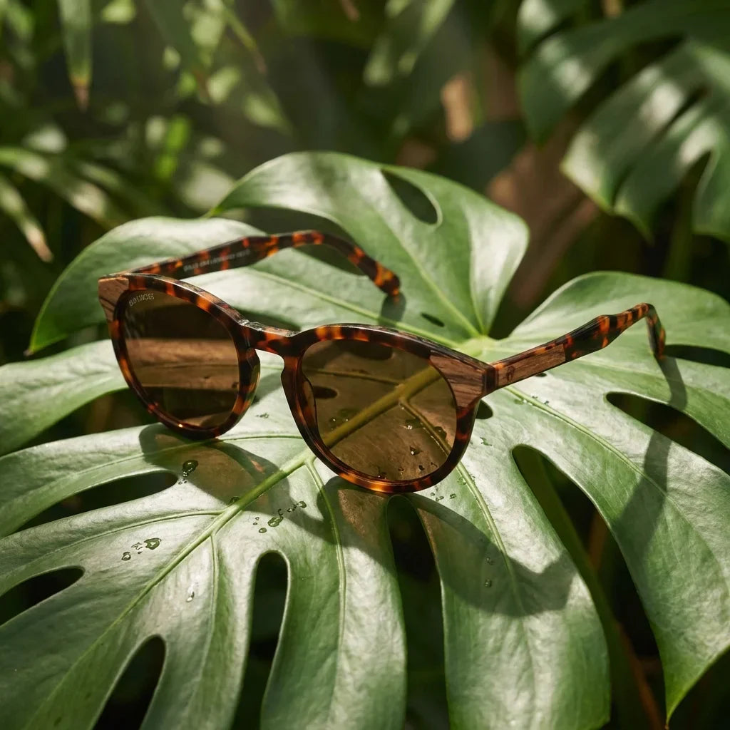 Lentes sol Chiloe 0084 polarizados bio-acetato carey composicion botanica monstera tropical biodegradable Bonoboss #editorial_grid2 #color_carey