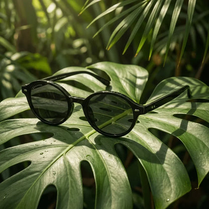 Lentes sol Capri polarizados RPET reciclado black composicion botanica monstera tropical sustentable Bonoboss #editorial_grid2 #color_black