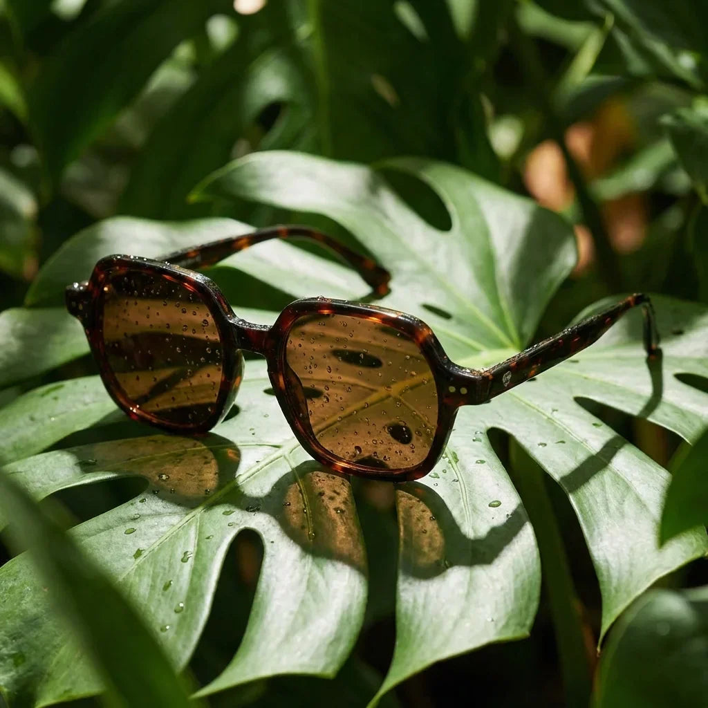 Canarias lentes polarizados hombre carey tortoise diseño frontal #color_carey