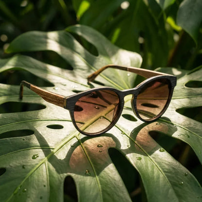 Chiloé 110 Wood lentes polarizados hombre café diseño frontal #color_brown
