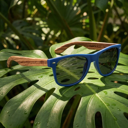 Acacia anteojos polarizados vista frontal diseño universal #color_blue-smoke