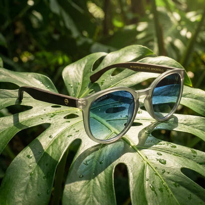 Lentes sol Meli TSP polarizados bio-acetato TSP biodegradable degrade azul sobre hoja monstera tropical Bonoboss #editorial_grid2 #color_degrade-azul