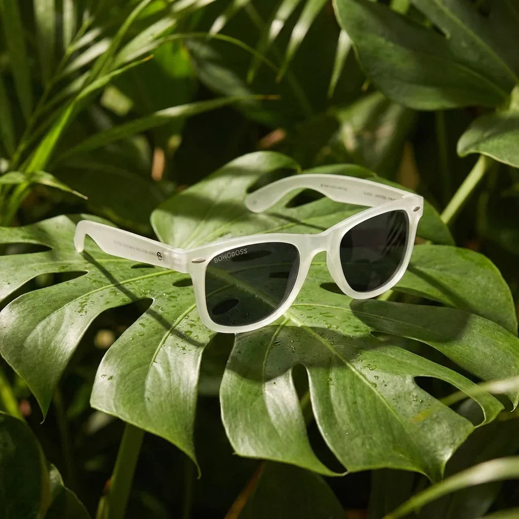 Acacio RPET lentes de sol marco transparente de frente con madera natural #color_transparente