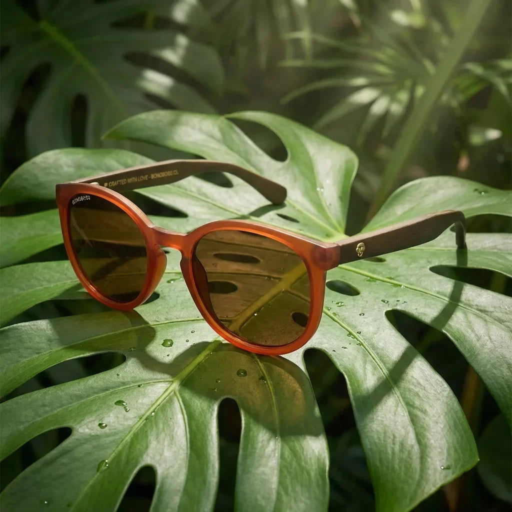 Meli Wine lentes de sol hombre premium brown vista frontal #color_brown