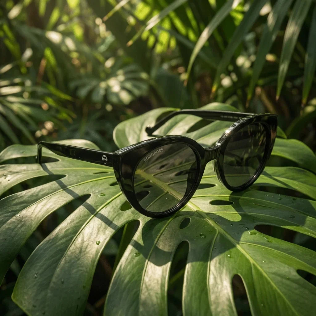 Lentes sol Hannover polarizados bio-acetato negro composicion botanica monstera tropical biodegradable Bonoboss #editorial_grid2 #color_negro
