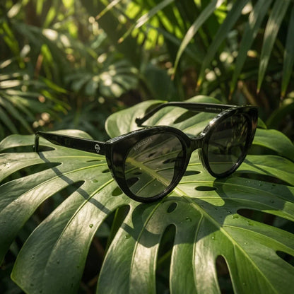 Lentes sol Hannover polarizados bio-acetato negro composicion botanica monstera tropical biodegradable Bonoboss #editorial_grid2 #color_negro