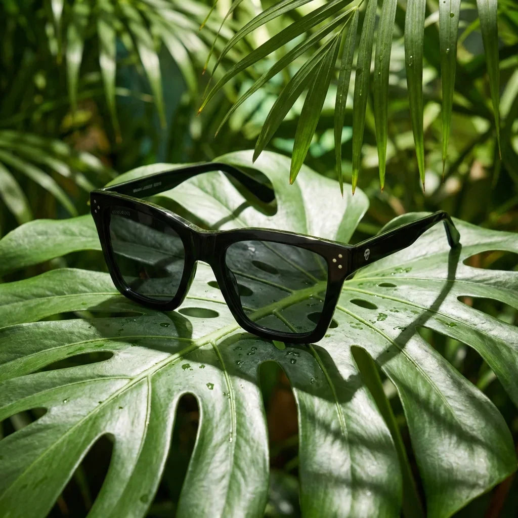 Lentes sol Bruna Retro Polarizado polarizados negro composicion botanica hoja monstera tropical Bonoboss #editorial_grid2 #color_negro