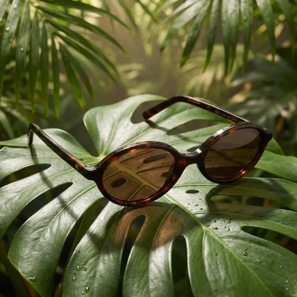 Vista frontal del modelo Guapi Island lentes de sol mujer carey tortoise patas de madera #color_carey