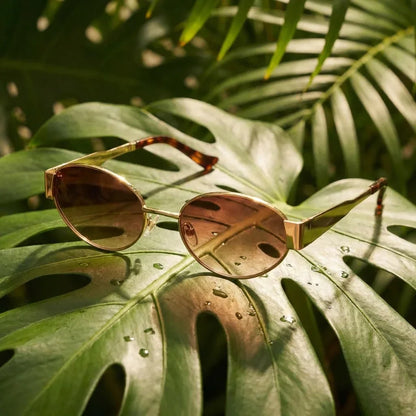 Lentes sol New Lennon polarizados bio-acetato brown composicion botanica monstera tropical biodegradable Bonoboss #editorial_grid2 #color_brown