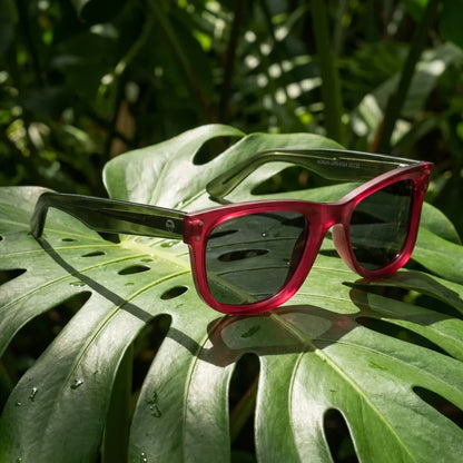 Packshot frontal Acacia Reverse lentes polarizados rosa palo #color_rosado