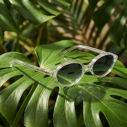 Vista frontal Guapi Island lentes de sol madera color cristal transparente #color_transparente