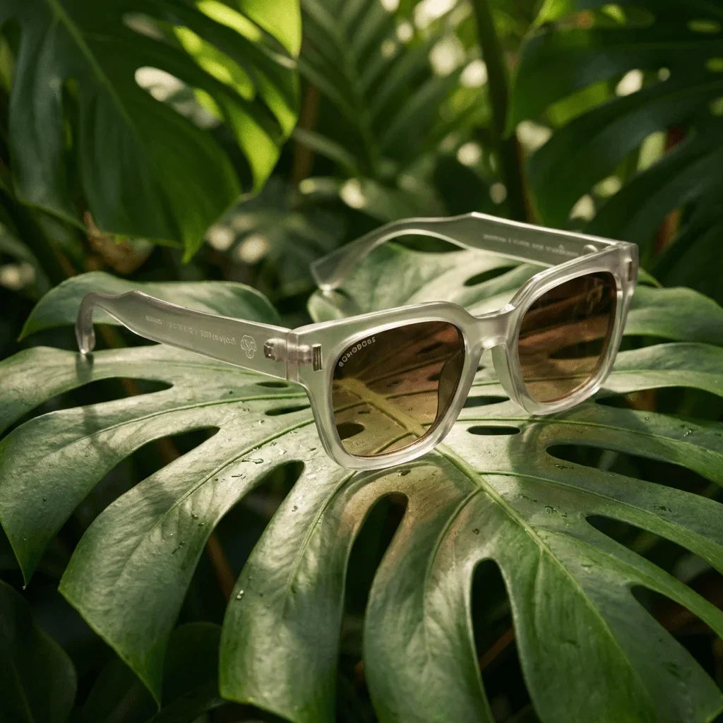 Vista frontal Osorno RPET lentes de sol madera color cristal transparente #color_transparente