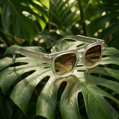 Vista frontal Osorno RPET lentes de sol madera color cristal transparente #color_transparente