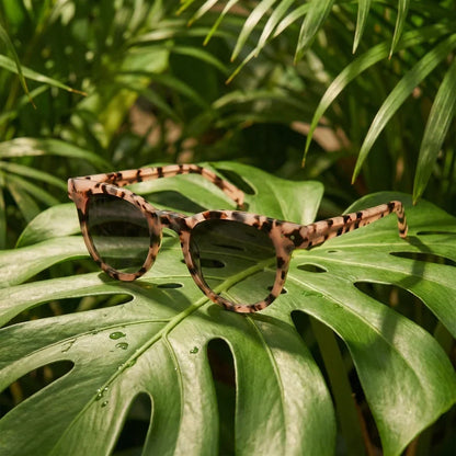 Lentes sol Meli polarizados bio-acetato marble composicion botanica monstera tropical biodegradable Bonoboss #editorial_grid2 #color_marble