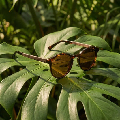Galápagos clásico lentes de sol madera carey tortoise vista frontal con protección UV400 #color_carey