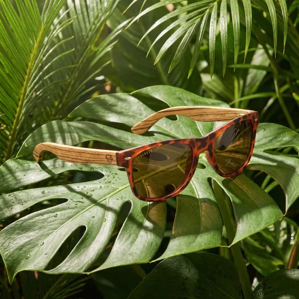 Acacia en lentes de sol hombre de frente patas de madera #color_carey-brown