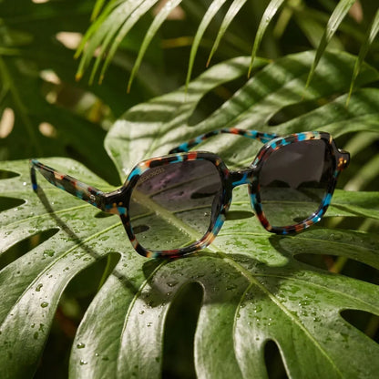 Diseño Canarias lentes de sol color azul vibrante frontal hombre y mujer #color_azul