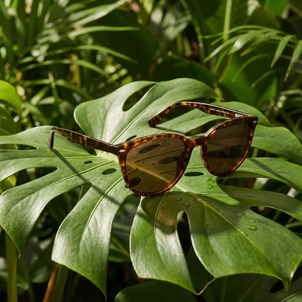 Lentes sol Henua polarizados bio-acetato carey composicion botanica monstera tropical biodegradable Bonoboss #editorial_grid2 #color_carey