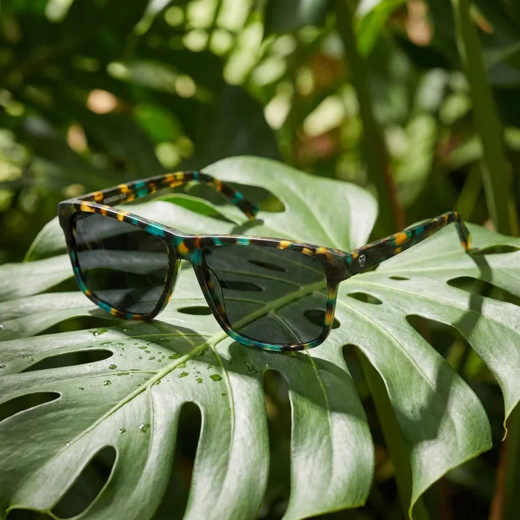 Lentes sol Keule polarizados madera verde composicion botanica monstera tropical biodegradable Bonoboss #editorial_grid2 #color_verde