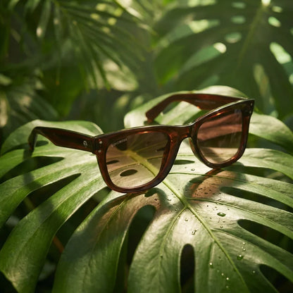 Acacia Reverse clásico lentes de sol madera café vista frontal con protección UV400 #color_brown