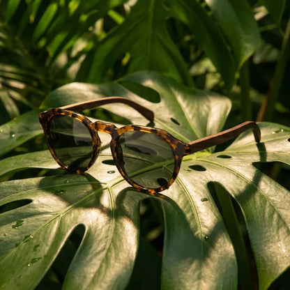 Modelo Galápagos lentes polarizados hombre tono carey clásico frontal #color_carey