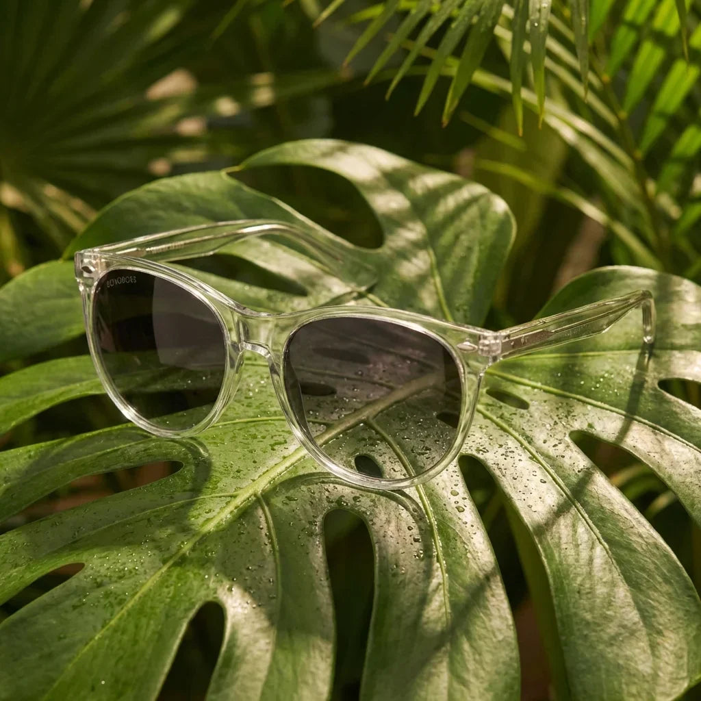 Vista angulada de Hanga Roa anteojos de sol transparente para hombre y mujer #color_transparente