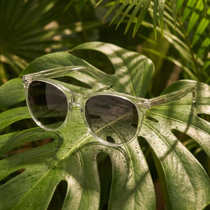 Vista angulada de Hanga Roa anteojos de sol transparente para hombre y mujer #color_transparente