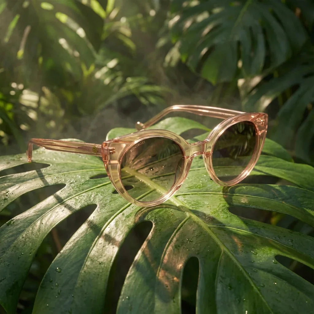 Lentes sol Hannover polarizados bio-acetato champagne composicion botanica monstera tropical biodegradable Bonoboss #editorial_grid2 #color_champagne