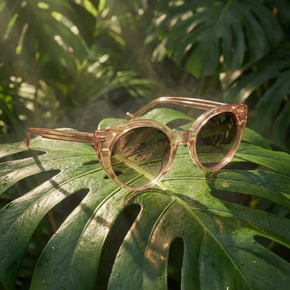 Lentes sol Hannover polarizados bio-acetato champagne composicion botanica monstera tropical biodegradable Bonoboss #editorial_grid2 #color_champagne