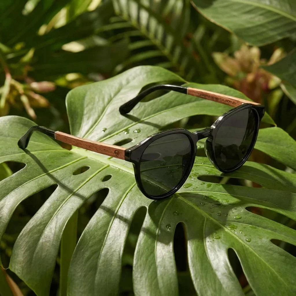Packshot frontal Galápagos lentes polarizados hombre color negro #color_negro
