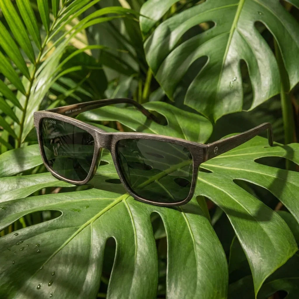Lentes sol Keule XL polarizados madera cacao composicion botanica monstera tropical biodegradable Bonoboss #editorial_grid2 #color_cacao