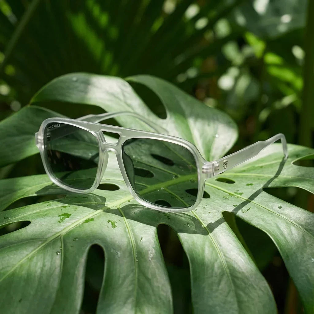 Orson RPET lentes de sol marco transparente de frente con madera natural #color_transparente