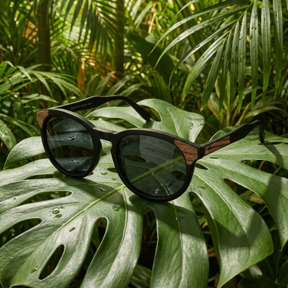 Lentes sol Chiloe 0084 polarizados bio-acetato negro composicion botanica monstera tropical biodegradable Bonoboss #editorial_grid2 #color_negro