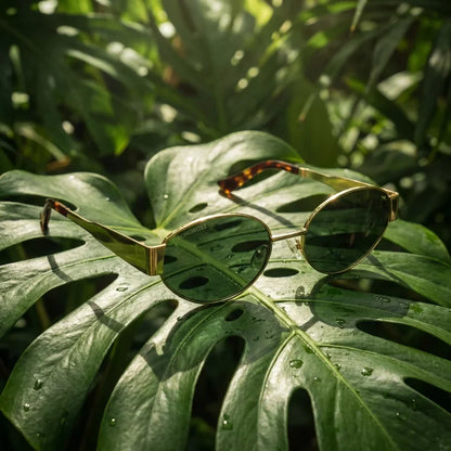 Lentes sol New Lennon polarizados bio-acetato g15 composicion botanica monstera tropical biodegradable Bonoboss #editorial_grid2 #color_g15
