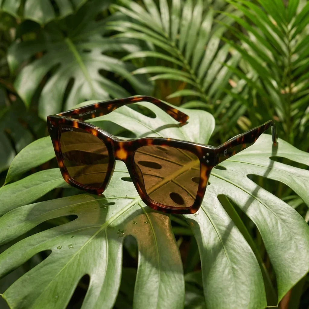 Lentes sol Bruna Retro Polarizado polarizados carey composicion botanica hoja monstera tropical Bonoboss #editorial_grid2 #color_carey