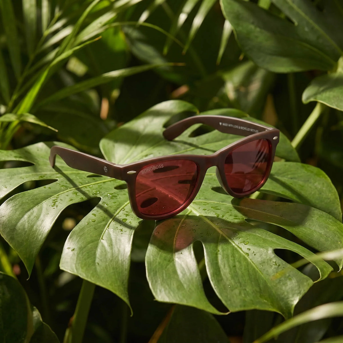 Lentes sol Acacia RPET Café polarizados UV400 composicion botanica hoja monstera tropical Bonoboss #color_rojo