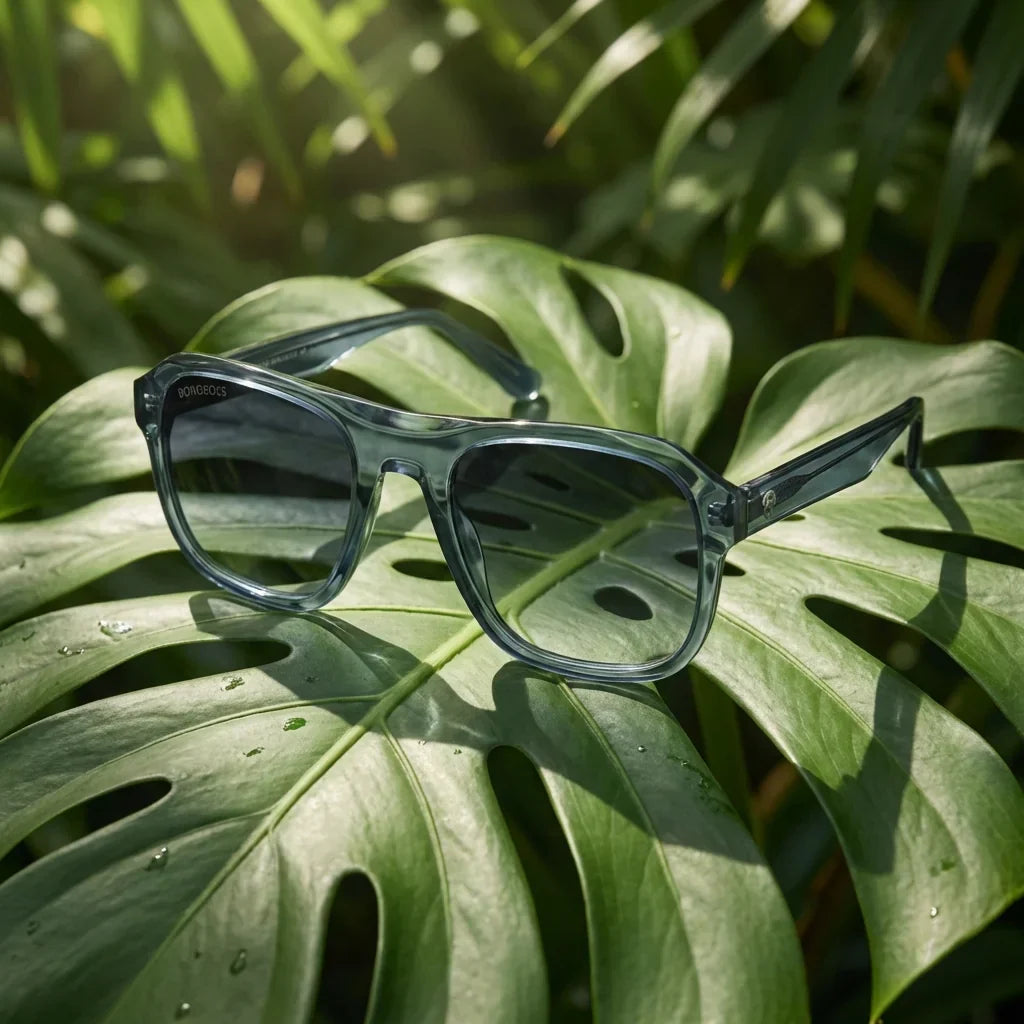 Lentes sol Tom Sol polarizados bio-acetato biodegradable aviator azul sobre hoja monstera botanica tropical Bonoboss #editorial_grid2 #color_azul