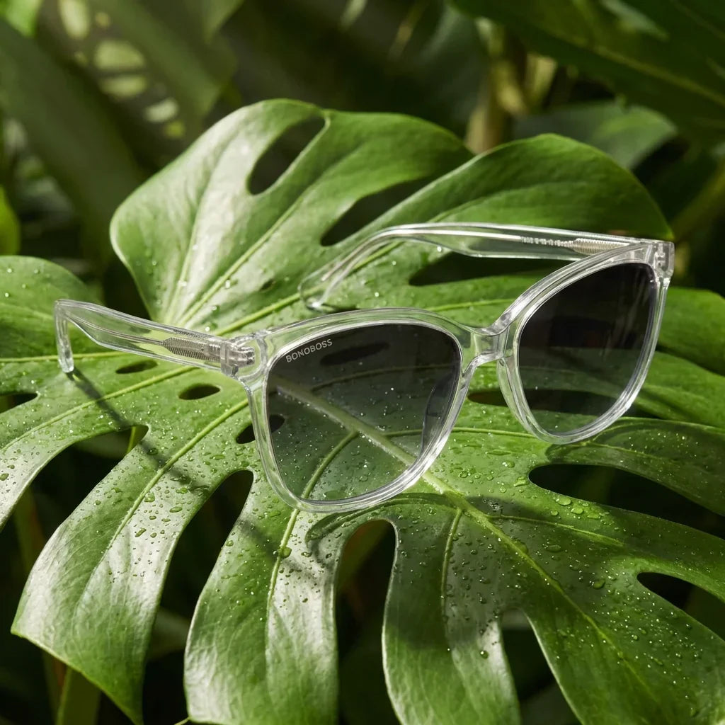 Lentes sol Tiare polarizados bio-acetato cat eye transparente sobre hoja monstera tropical naturaleza Bonoboss #editorial_grid2 #color_transparente