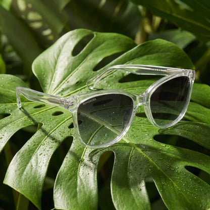 Lentes sol Tiare polarizados bio-acetato cat eye transparente sobre hoja monstera tropical naturaleza Bonoboss #editorial_grid2 #color_transparente