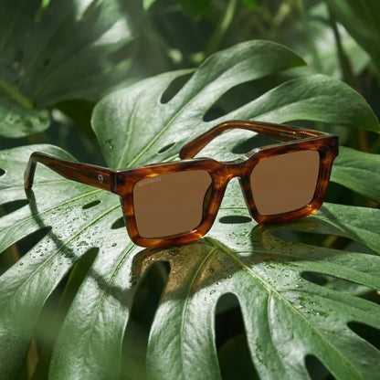 Modelo Tokyo lentes polarizados hombre brown frontal #color_brown