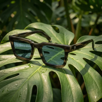 Vista frontal de Tokyo gafas de sol color para hombre y mujer #color_stained