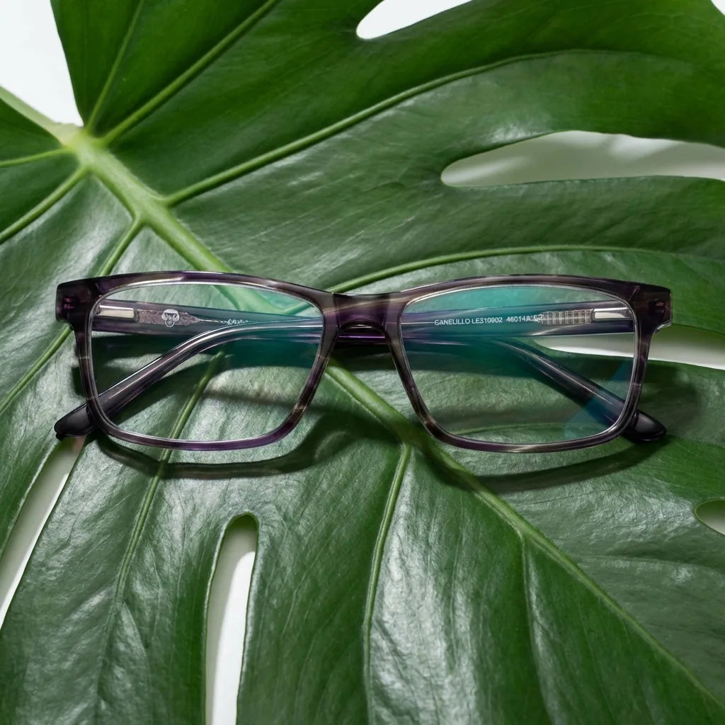 Lentes ópticos Canelillo Morado entre hojas botánicas naturales diseño sustentable Bonoboss #editorial_sustentabilidad #color_morado