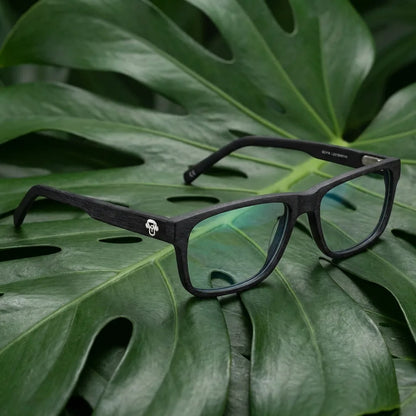 Lentes ópticos Canelo Black entre hojas botánicas naturales diseño sustentable Bonoboss #editorial_sustentabilidad #color_black