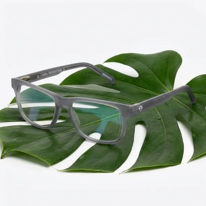 Lentes ópticos Canelo Transparente entre hojas botánicas naturales diseño sustentable Bonoboss #editorial_sustentabilidad #color_transparente