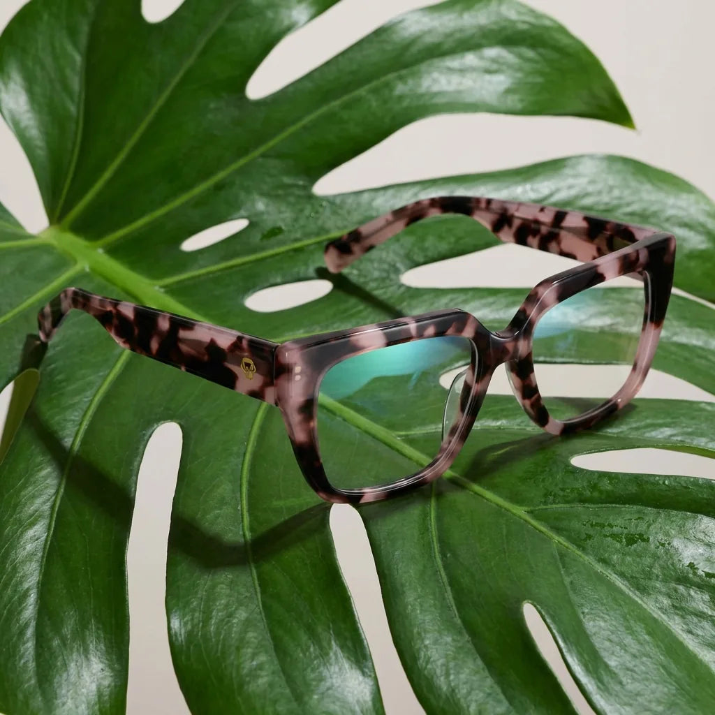 Lentes ópticos Kai Kai Marble entre hojas botánicas naturales diseño sustentable Bonoboss #editorial_sustentabilidad #color_marble