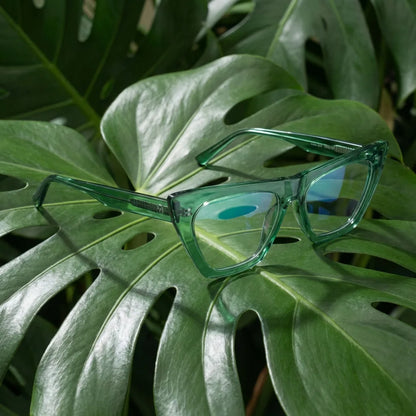 Lentes ópticos Rosario Verde entre hojas botánicas naturales diseño sustentable Bonoboss #editorial_sustentabilidad #color_verde